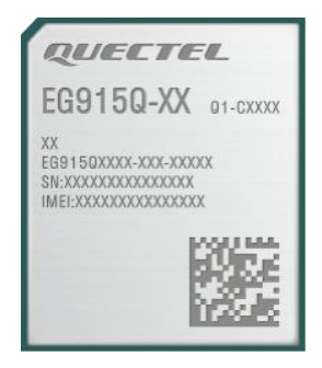 EG915Q-JP